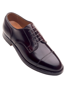Cordovan Straight Tip Blucher
